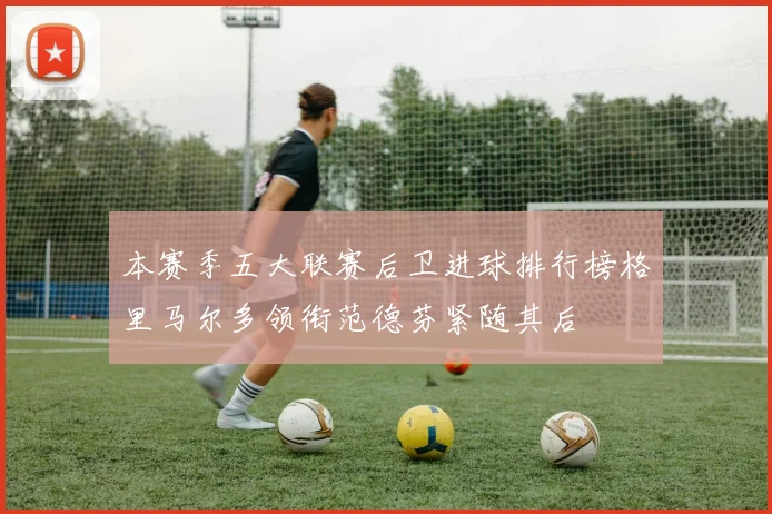 本赛季五大联赛后卫进球排行榜格里马尔多领衔范德芬紧随其后