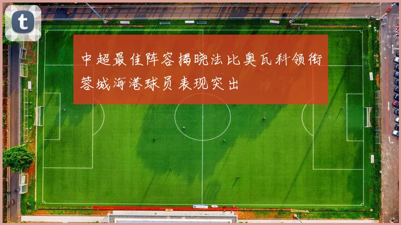 中超最佳阵容揭晓法比奥瓦科领衔蓉城海港球员表现突出