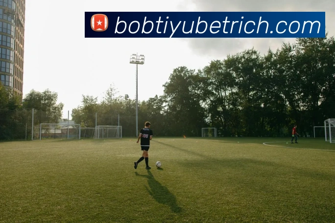 BOB体育平台生态图